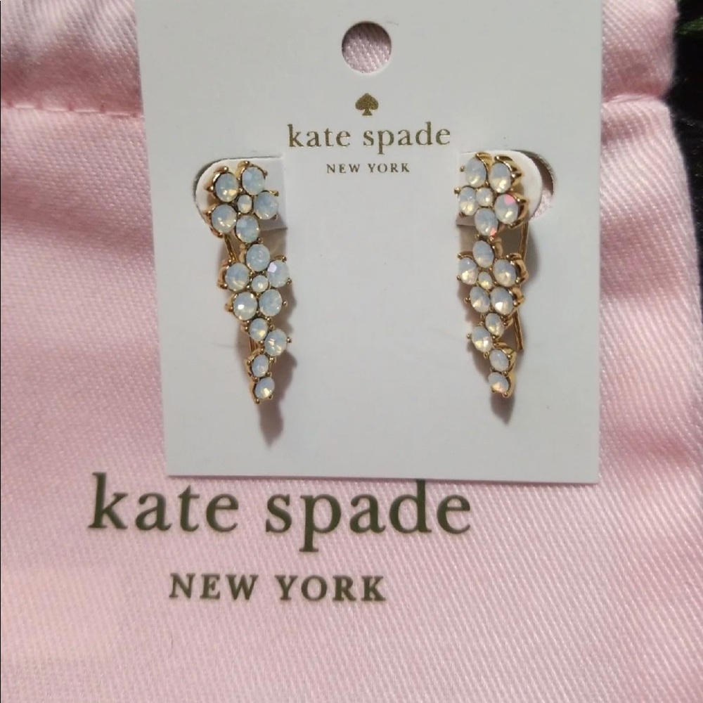 New- Kate spade opal design earrings